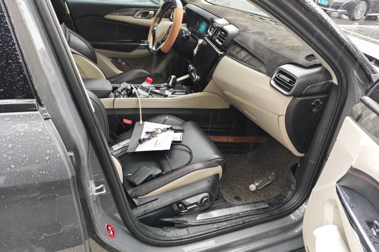 领克02 2018款 1.5T DCT两驱耀Pro版 国V局部细节9005