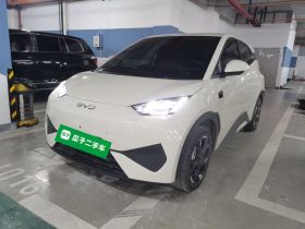 比亚迪 海鸥 2025款 智驾版 305km 自由版