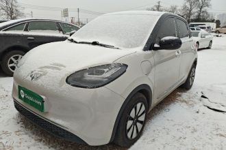 五菱汽车 五菱缤果 2024款 333km 悦享款