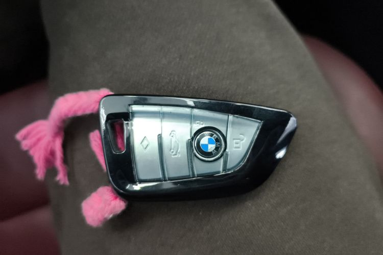 宝马5系 2019款 改款 530Li 领先型 M运动套装中控内饰7001