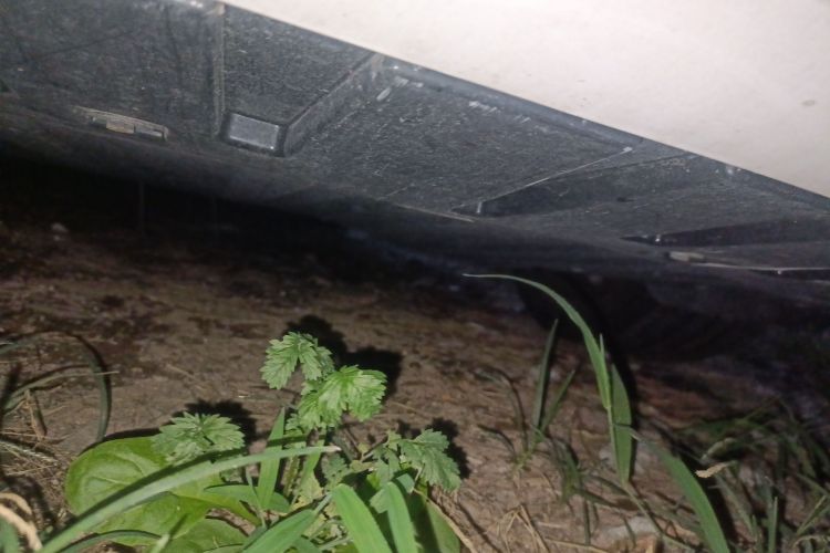 飞凡汽车 飞凡F7 2023款 进阶Pro版局部细节9008