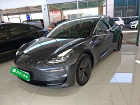 特斯拉 Model 3 2020款 长续航后轮驱动版