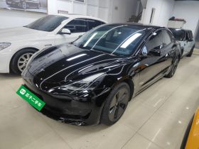 特斯拉 Model 3 2022款 后轮驱动版