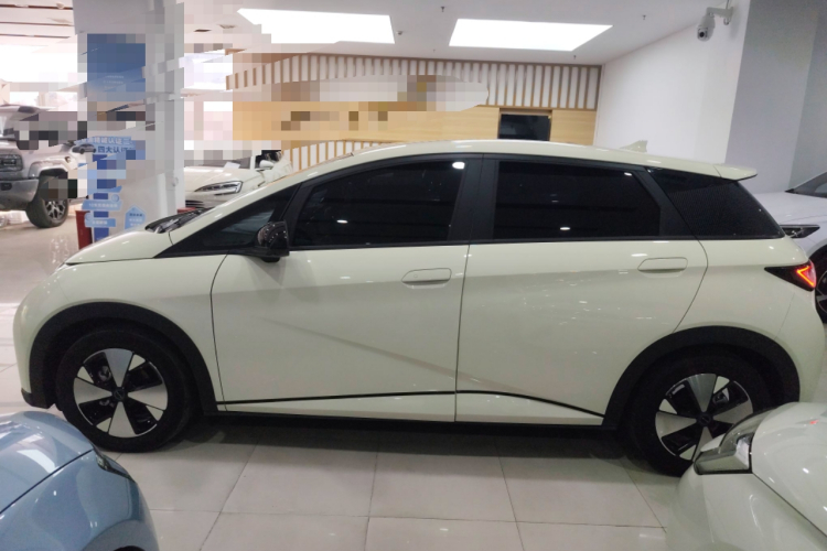 比亚迪 海豚 2023款 420km 自由版车身外观4