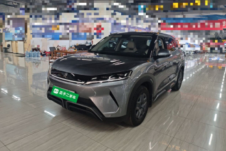 比亚迪 元UP 2024款  401KM 活力版