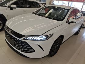 比亚迪 秦PLUS 2025款 DM-i 智驾版 128KM进取型