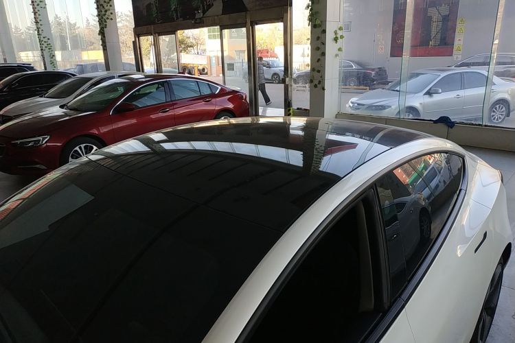 特斯拉 Model 3(进口) 2019款 标准续航后驱升级版(60度)局部细节57