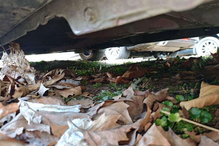 丰田 卡罗拉 2017款 1.2T CVT GL局部细节9008