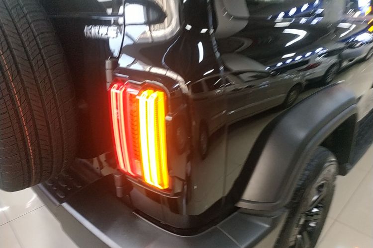 坦克300 2024款 2.0T 征服者车身外观9