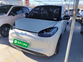 五菱汽车 五菱缤果 2024款 333km 悦享款