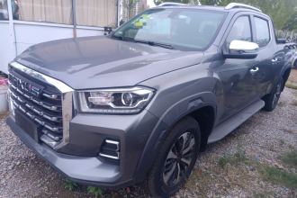 上汽大通MAXUS 2023款 星际R 2.0T 自动 柴油 两驱 豪华版 长箱