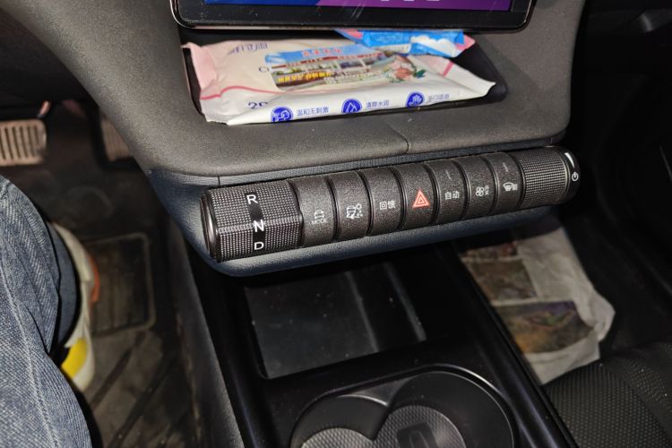 比亚迪 海豚 2024款 荣耀版 420km 自由版中控内饰18