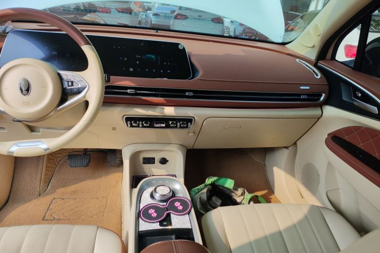 欧拉好猫 2021款 400km标准续航 维纳斯版 三元锂局部细节16