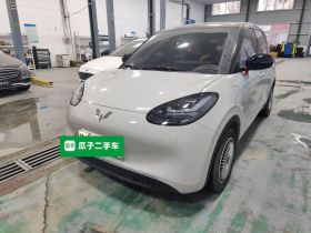 五菱汽车 五菱缤果 2024款 333km 悦享款