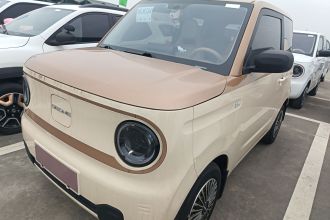 吉利银河 2023款 熊猫mini 200km 耐力熊