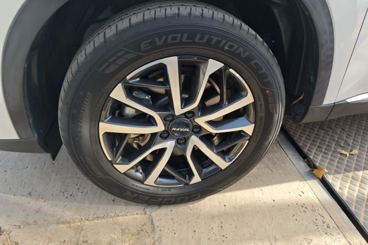 哈弗H6 2021款 第三代 1.5T 自动两驱Max车身外观6007