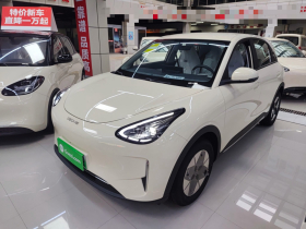 吉利银河 星愿 2025款 310km 梦想版