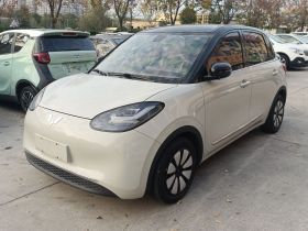 五菱汽车 五菱缤果 2023款 203km 舒享款