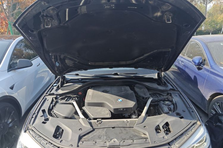 宝马5系(进口) 2020款 525i M运动套装局部细节24