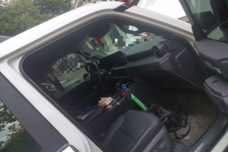 丰田 普拉多 2024款 2.4T 悍野WX版 6座局部细节9005