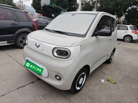 五菱汽车 宏光MINIEV 2024款 第三代 215km 青春版