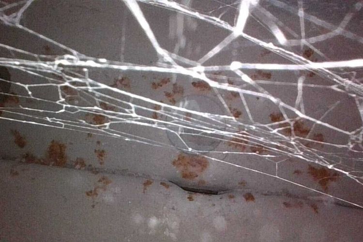 陆风X7 2018款 劲越 1.5T 全景至尊型局部细节9001