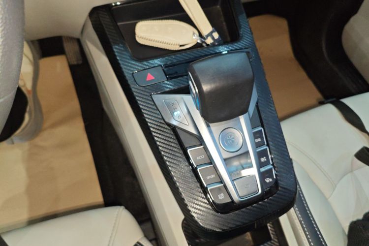 比亚迪 元Pro 2021款 401KM 尊贵型局部细节18