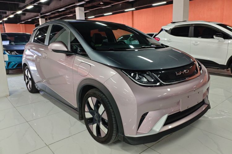 比亚迪 海豚 2021款 401km 骑士版车身外观6002