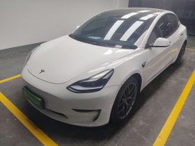 特斯拉 Model 3 2021款 改款二 Performance高性能全轮驱动版