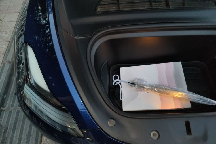 特斯拉 Model Y 2021款 长续航全轮驱动版局部细节9003