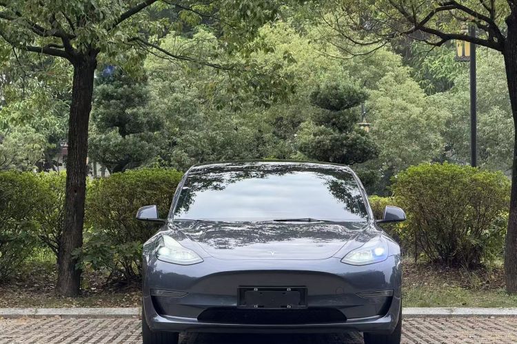 特斯拉 Model 3 2021款 改款二 Performance高性能全轮驱动版车身外观6001