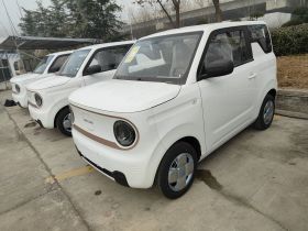 吉利银河 2024款 熊猫mini 200km 耐力熊
