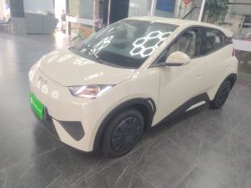 比亚迪 海鸥 2025款 305km 活力版