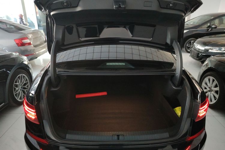 大众 帕萨特 2020款 改款 280TSI 商务版 国VI局部细节23