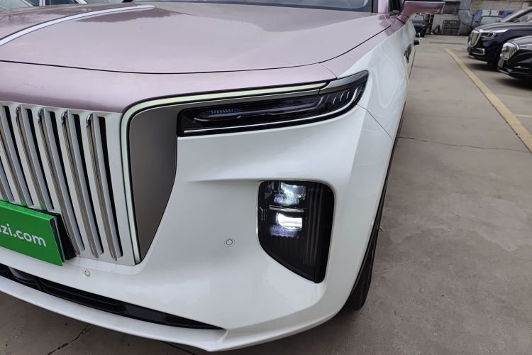 红旗E-HS9 2021款 460km 旗享版 六座局部细节36