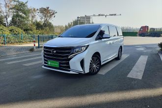 广汽传祺 传祺M8 2021款 领秀系列 390T 尊贵版