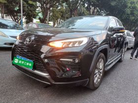 丰田 威兰达 2020款 2.0L CVT两驱豪华版
