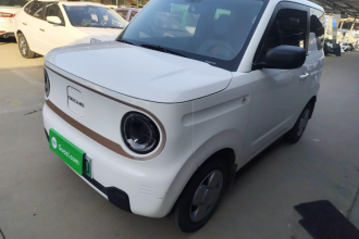 吉利银河 2023款 熊猫mini 200km 耐力熊