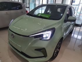 长安欧尚 奔奔E-Star 2022款 国民版 多彩限量款（快充版）三元锂