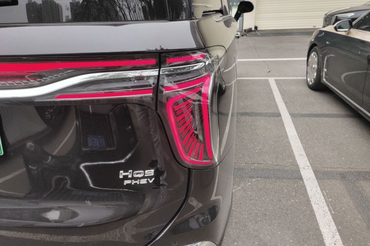红旗HQ9 PHEV 2024款 2.0T 四驱豪华版车身外观6006