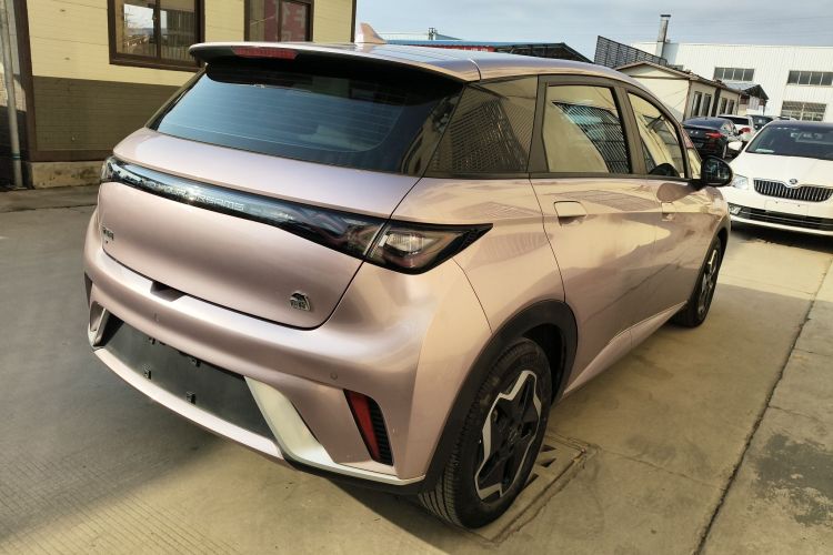 比亚迪 海豚 2021款 405km 时尚版车身外观7