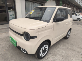 吉利银河 熊猫 2025款 210km 元气熊