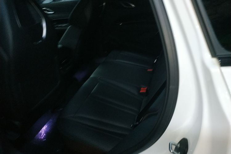 红旗HS3 2023款 2.0T 四驱有为版中控内饰21