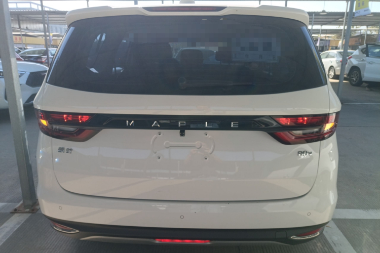 睿蓝汽车 枫叶80V 2021款 易行版 三元锂车身外观6