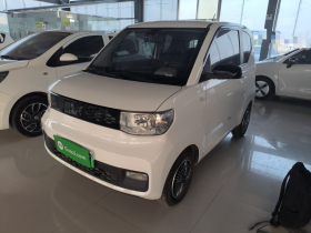 五菱汽车 宏光MINIEV 2020款 悦享款 磷酸铁锂