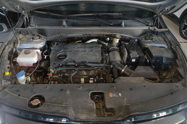 起亚 狮铂拓界 2023款 2.0T 两驱尊贵版局部细节24