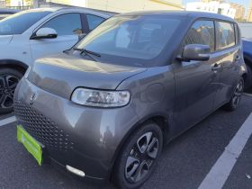 欧拉白猫 2020款 305km 豪华型