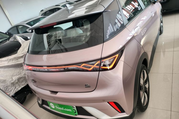 比亚迪 海豚 2021款 401km 骑士版车身外观6