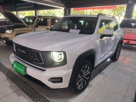 哈弗大狗 PLUS 2023款 2.0T 两驱潮野版Plus