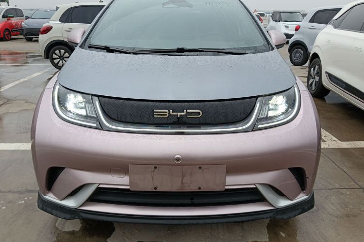 比亚迪 海豚 2021款 401km 骑士版车身外观6001